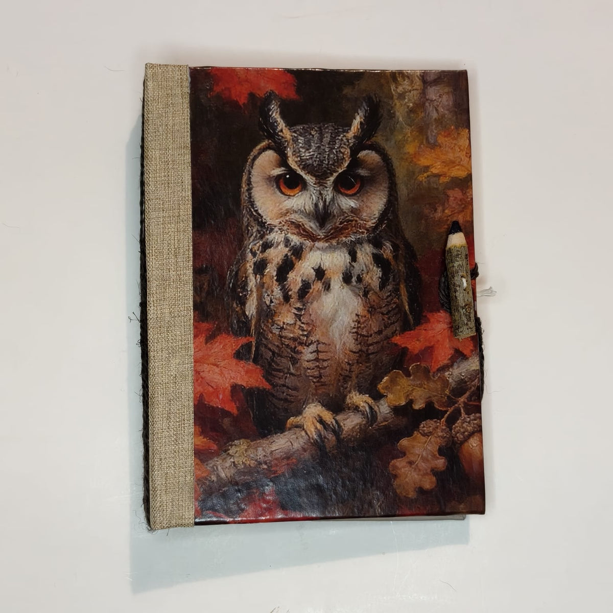 Custodi d’Autunno, copertina con gufo e dorso chiaro