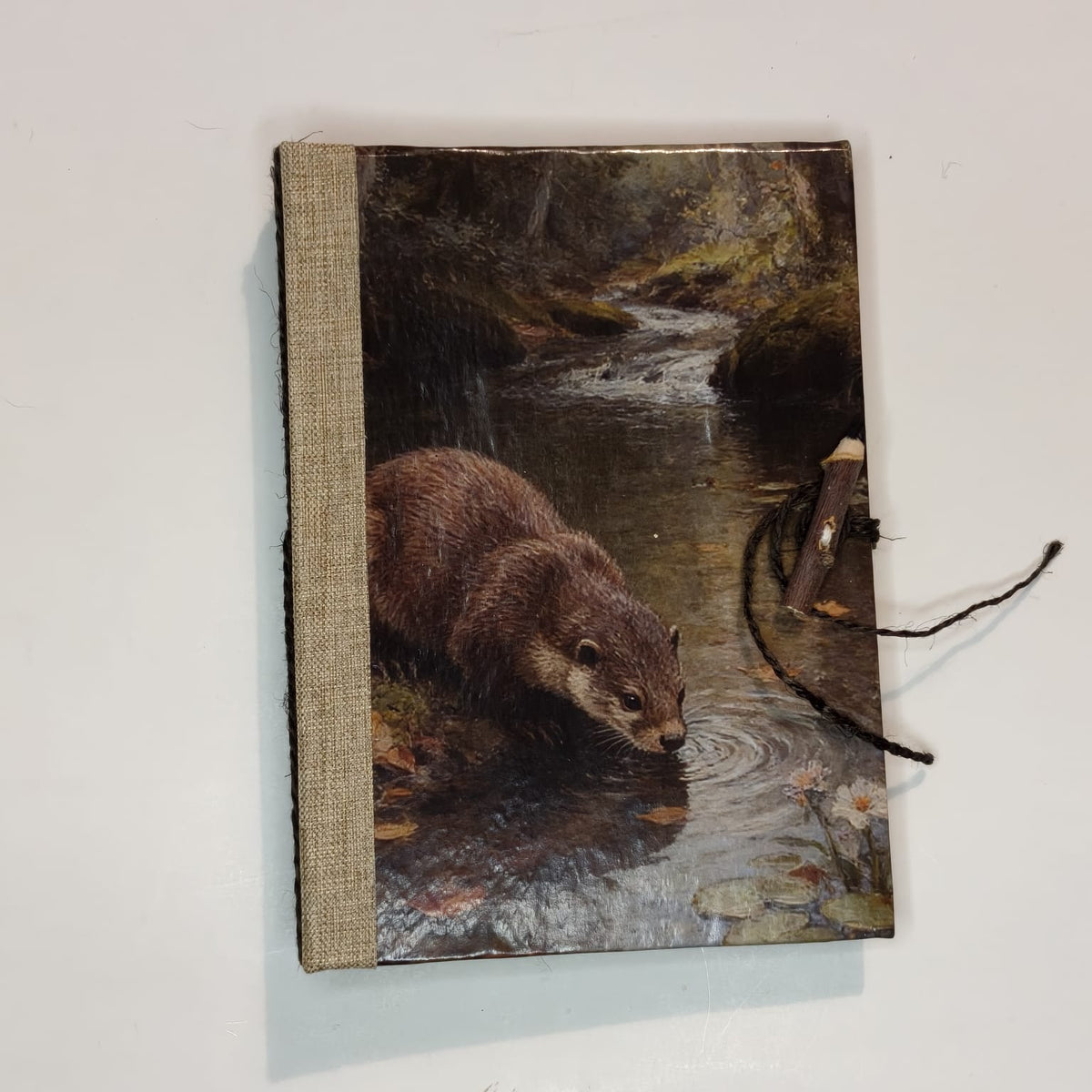 Custodi d’Autunno, copertina con lontra vicino all’acqua