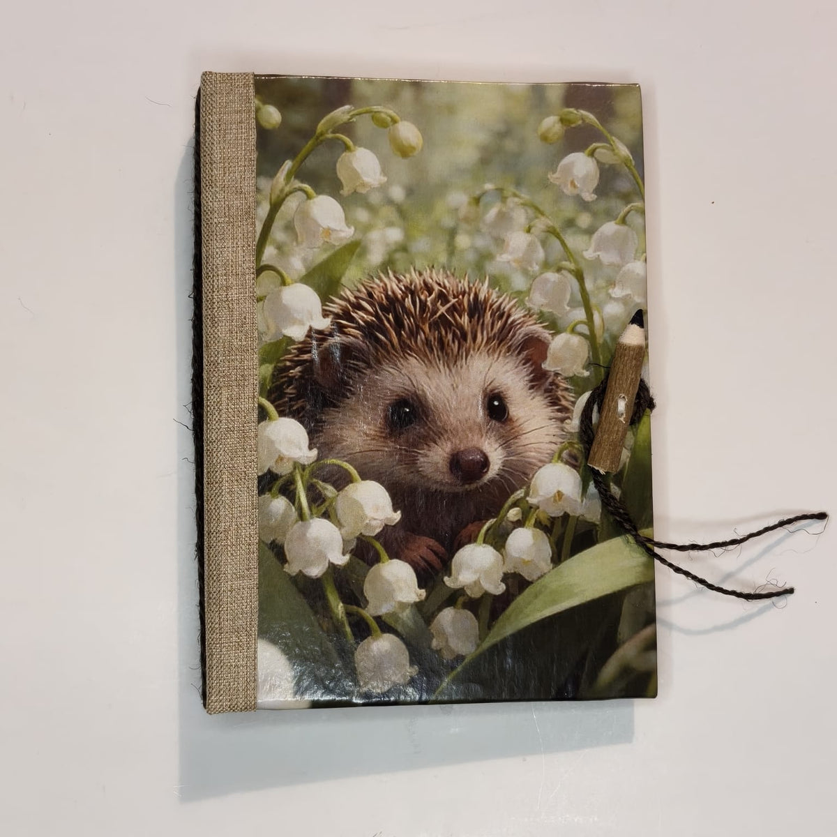 Custodi d’Autunno, copertina con riccio e fiori bianchi