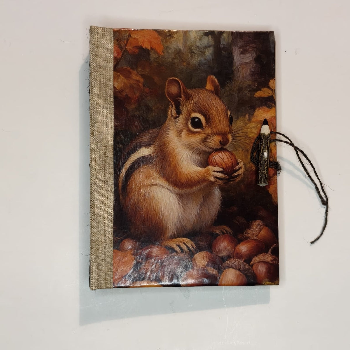 Custodi d’Autunno, copertina con scoiattolo e ghiande